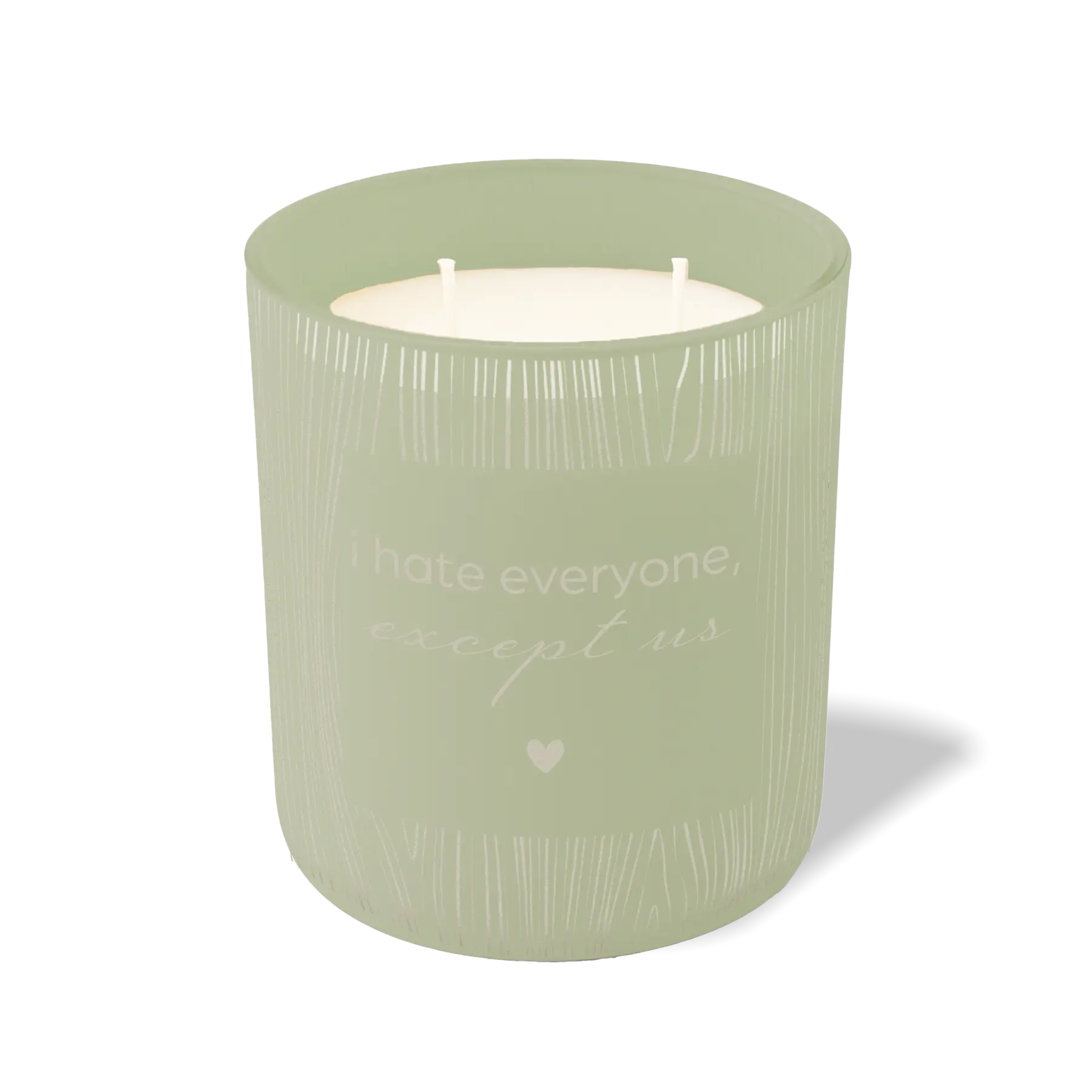 Wild Journey Custom Etched I Hate Everyone Except Us 12 oz Studio Series Candle in Meadow