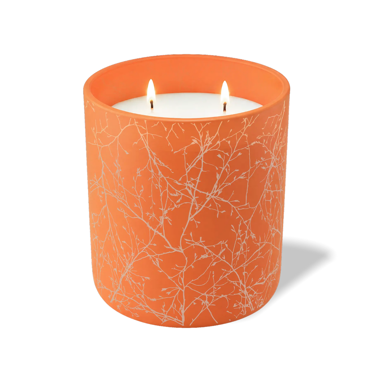 Branches | 12 oz Candle